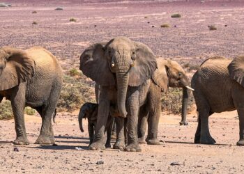 Top 7 Budget Categories You Need to Implement for Financial Success