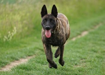 Top 7 Get-Rich-Quick Schemes You Should Avoid: Don’t Fall for These Traps!