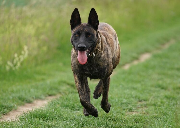 Top 7 Get-Rich-Quick Schemes You Should Avoid: Don’t Fall for These Traps! Top 7 Get-Rich-Quick Schemes You Should Avoid: Don’t Fall for These Traps!