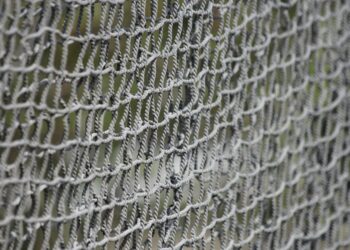 Top 7 Tools You Need to Verify Someone’s Net Worth Easily and Efficiently