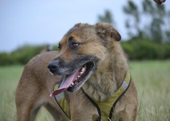 Understanding the Difference: Consumer Mindset vs. Producer Mindset Explained