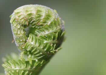 Want to Save More? Here Are 7 Expert Tips to Spend Less Money