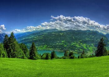 What Are the Investment Basics You Should Know to Secure Your Financial Future?