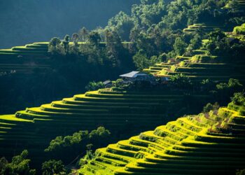 What Are the Key Steps to Improve Your Credit Score? A Comprehensive Guide