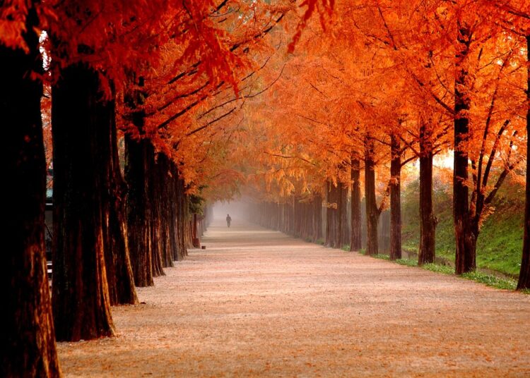 What Information is on Your Credit Report? Understanding Its Impact on Your Financial Future