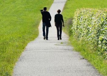 What Should You Consider in a Robo-Advisor? 5 Critical Questions Answered