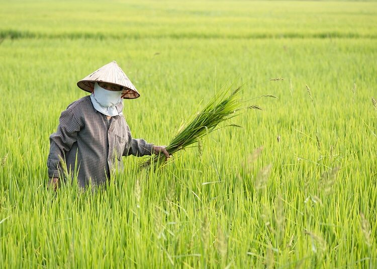 What is Tax-Loss Harvesting and How Does a Robo-Advisor Make It Easy? What is Tax-Loss Harvesting and How Does a Robo-Advisor Make It Easy?