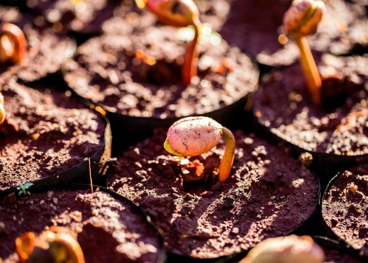 Why Are Online Bank Rates Higher? Unpacking the Benefits for Savvy Savers