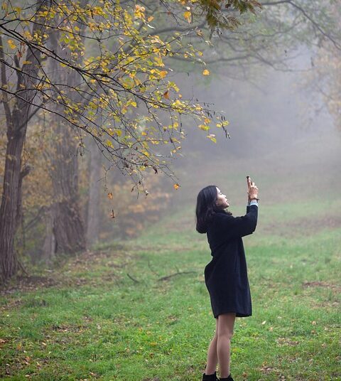 Why Do Companies Issue Stock? Exploring the Benefits for Businesses and Shareholders