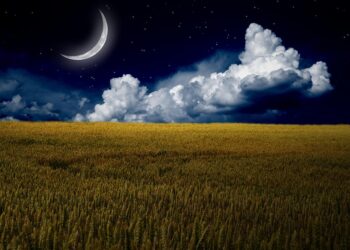 10 Easy Tips for a Successful Frugal Living Challenge This Month 10 Easy Tips for a Successful Frugal Living Challenge This Month