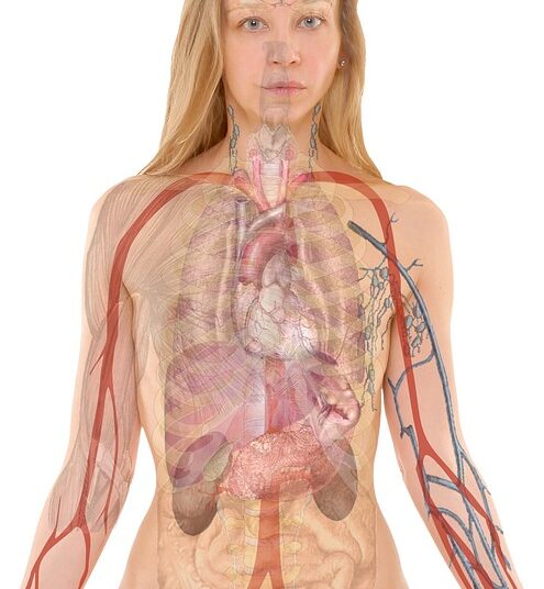 5 Pain Points Every Parent Faces When Teaching Kids About Money (and How to Overcome Them)