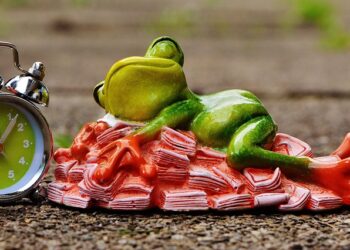 5 Proven Money Management Skills You Must Learn to Achieve Your Financial Goals 5 Proven Money Management Skills You Must Learn to Achieve Your Financial Goals