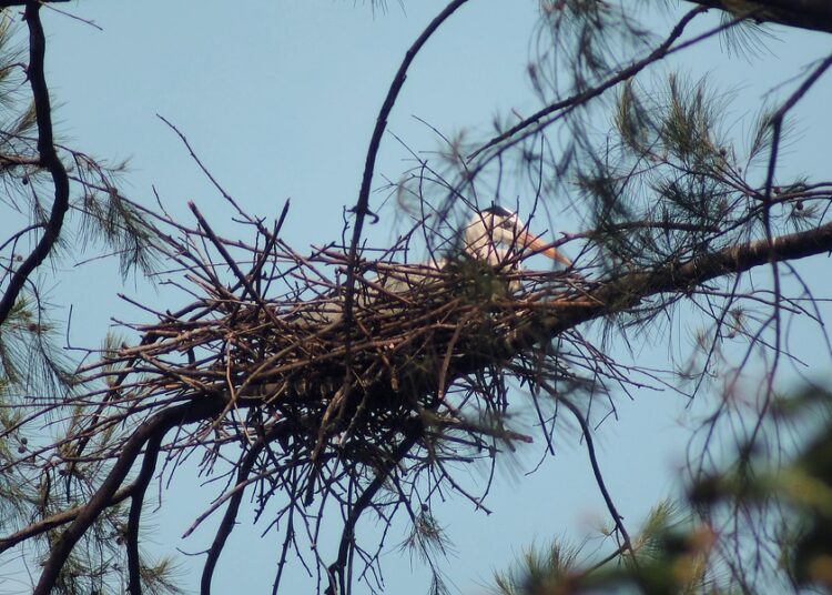 Are High-Yield Savings Accounts Worth It for Non-US Residents? Here’s What You Need to Know!