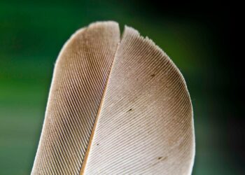 Are You Financially Prudent? 5 Signs You Need to Change Your Money Habits