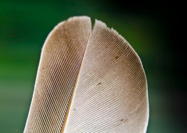 Are You Financially Prudent? 5 Signs You Need to Change Your Money Habits