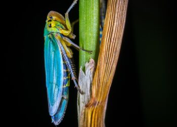 Are You Losing Money? Find Out the Best Apps for High-APY Accounts Now! Are You Losing Money? Find Out the Best Apps for High-APY Accounts Now!