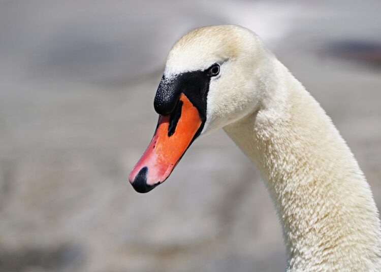 Are You Losing Sleep Over Crypto Volatility? Learn How to Manage Risk Effectively