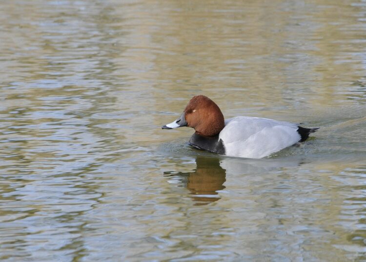 Are You Making These Common Retirement Planning Mistakes? Find Out Now! Are You Making These Common Retirement Planning Mistakes? Find Out Now!