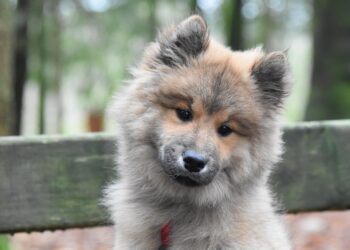 Are You Raising Spoiled Kids? Discover How to Raise Frugal Kids Instead