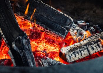 Are You Ready for FIRE? Essential Investment Tips to Get You Started