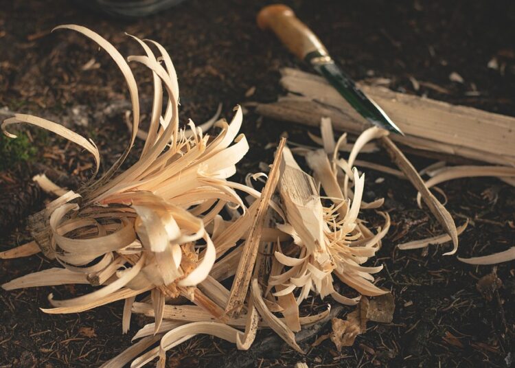 Are You Ready for Financial Freedom? How to Start Your FIRE Journey Today! Are You Ready for Financial Freedom? How to Start Your FIRE Journey Today!