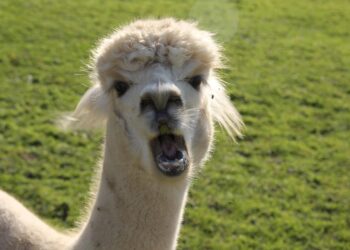 Are You Spending Too Much? Discover How to Be Intentionally Frugal and Keep Your Budget in Check!