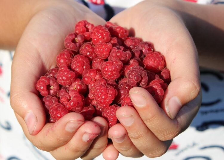 Are You Still Avoiding a Budget? Discover the Life-Changing Benefits of Budgeting