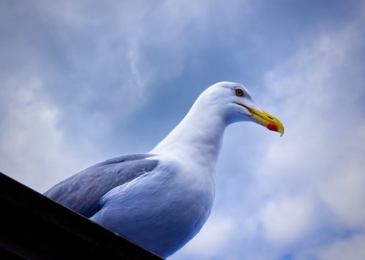 Are You Struggling to Make Ends Meet? Discover These 7 Low-Cost Side Hustle Ideas!