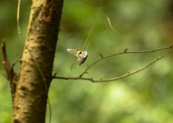 Are You a High Net Worth Individual? 5 Signs to Help You Identify Your Financial Status