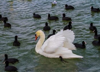 Are You a Smart Consumer? Discover 5 Strategies That Will Save You Money Are You a Smart Consumer? Discover 5 Strategies That Will Save You Money