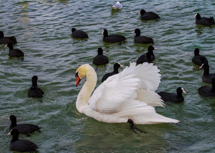 Are You a Smart Consumer? Discover 5 Strategies That Will Save You Money Are You a Smart Consumer? Discover 5 Strategies That Will Save You Money