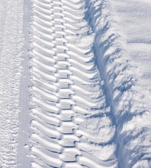 Are You on Track? How to Measure Your Emergency Fund Progress Like a Pro Are You on Track? How to Measure Your Emergency Fund Progress Like a Pro