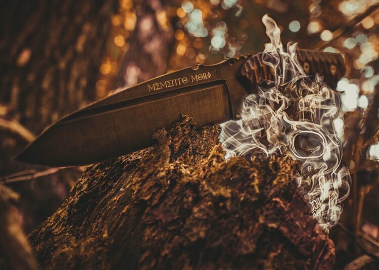 Dividend Investing for Beginners: What You Need to Know to Grow Your Wealth Dividend Investing for Beginners: What You Need to Know to Grow Your Wealth