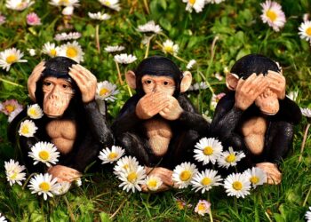 Frugal but Not Cheap: 7 Essential Tips for Smart Shoppers