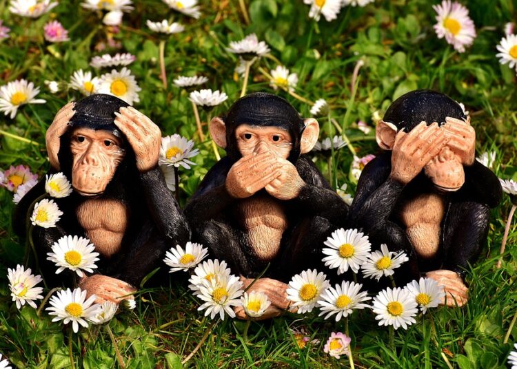 Frugal but Not Cheap: 7 Essential Tips for Smart Shoppers Frugal but Not Cheap: 7 Essential Tips for Smart Shoppers