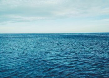 How Long Does It Take to See a Credit Score Improvement? Your Questions Answered!