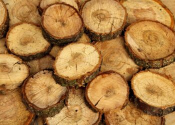 How Much Should You Save? Understanding What a Down Payment for a House Really Means How Much Should You Save? Understanding What a Down Payment for a House Really Means