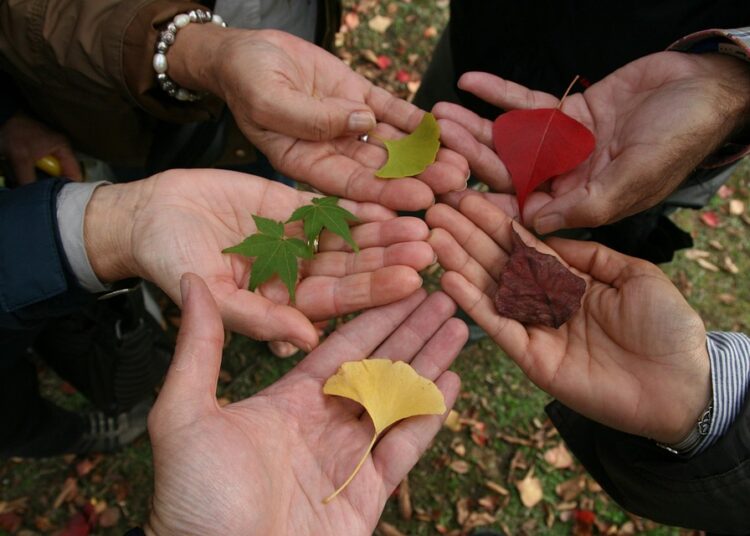 How to Assess Your Risk Tolerance: A Step-by-Step Approach for Investors at Any Level