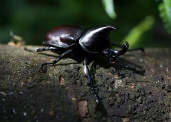 How to Avoid Common Investing Mistakes: Strategies for Long-Term Financial Success