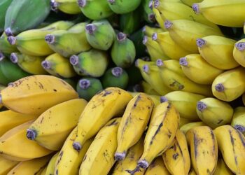 How to Budget for Groceries: Are You Overpaying Each Week? Find Out Now!