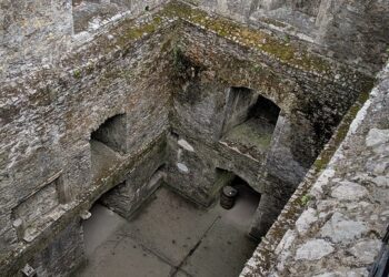 How to Build Your Credit from Scratch: A Step-by-Step Guide for Those with No Credit History