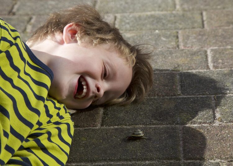 How to Build a Three-Fund Portfolio: Step-by-Step for New Investors