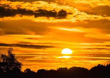 How to Manage Healthcare in Early Retirement: Answers to Your Most Pressing Questions How to Manage Healthcare in Early Retirement: Answers to Your Most Pressing Questions