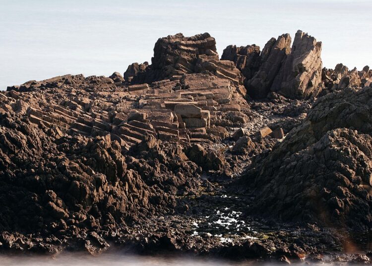 How to Open a Joint Bank Account: A Step-by-Step Guide for Beginners