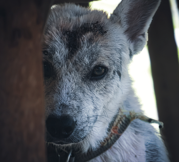 How to Recover from a Poor Credit Score: A Step-by-Step Guide to Regaining Financial Health