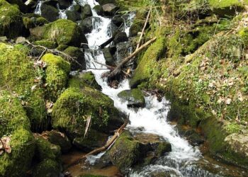 Is High-Interest Debt Holding You Back? Here’s How to Tackle It Immediately