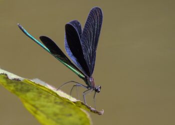 Is Your Credit File Too Thin? Discover the Hidden Consequences and How to Fix Them