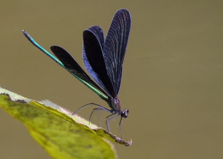 Is Your Credit File Too Thin? Discover the Hidden Consequences and How to Fix Them Is Your Credit File Too Thin? Discover the Hidden Consequences and How to Fix Them