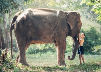 Is Your Emergency Fund Too Big? Here’s What to Do Next!