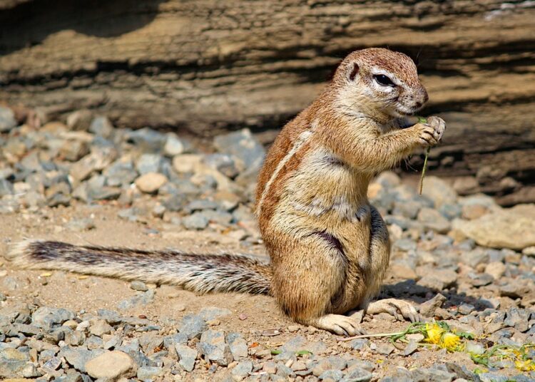 Is Your Savings Really an Emergency Fund? Here’s What It Should Be Is Your Savings Really an Emergency Fund? Here’s What It Should Be